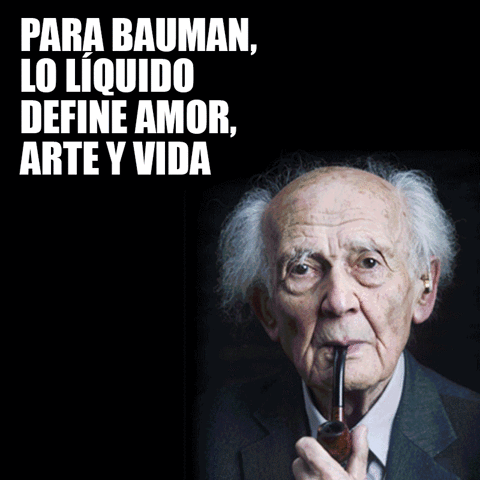8. Globalização e desigualdades – análise de situações na perspectiva de Bauman