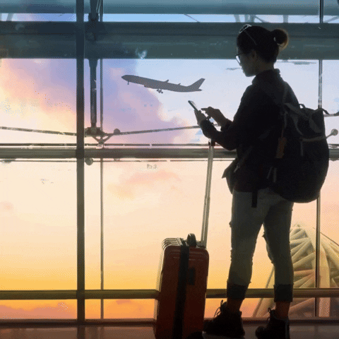 6. Globalização, migração e mobilidade – Sassen