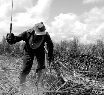 7. Trabalho rural e relações de produção
