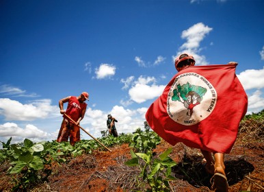 8. Direito à terra e movimentos sociais do campo